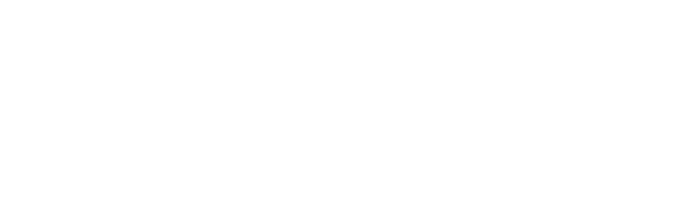 animus design